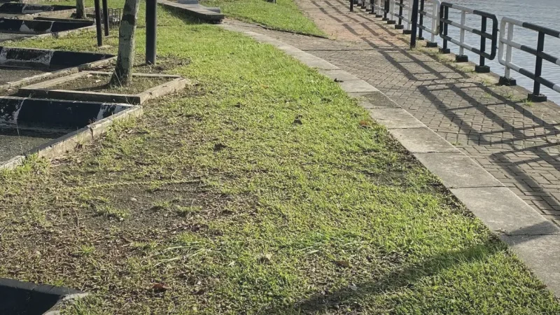 Sungai Kedah Riverside(2)