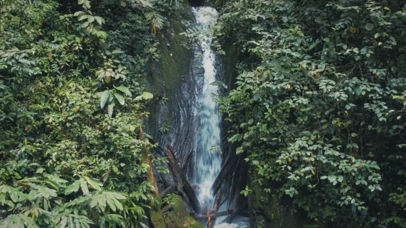 Sungai Purut 7 Waterfall(5)