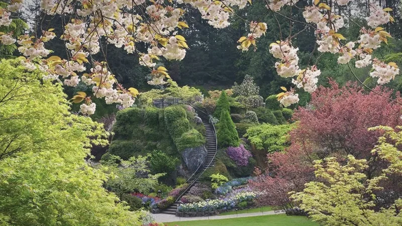 Sunken Garden – Former Quarry(3)