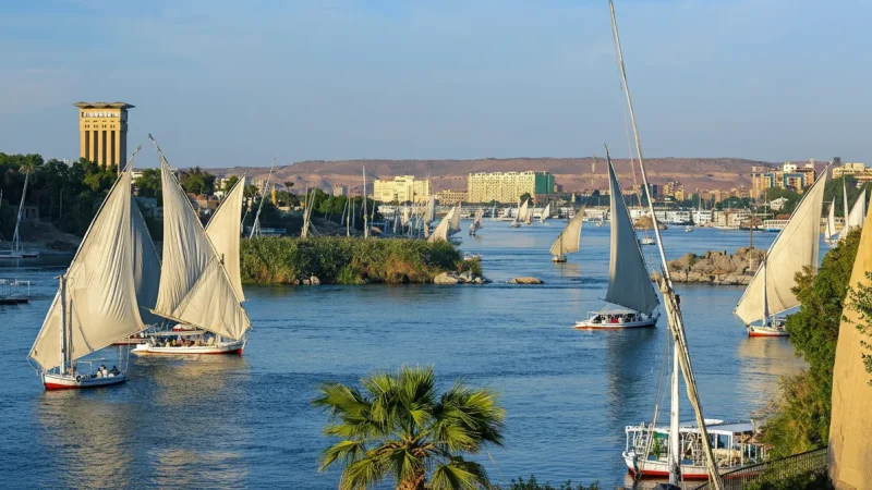 Sunrise Deck Views – Early Morning River Scenes(4)