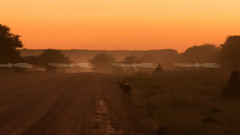 Sunrise_Lookouts_тАУ_Early_morning_scenery_01
