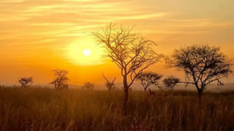 Sunrise_Safari_Routes_тАУ_Early_game_viewing_roads_02