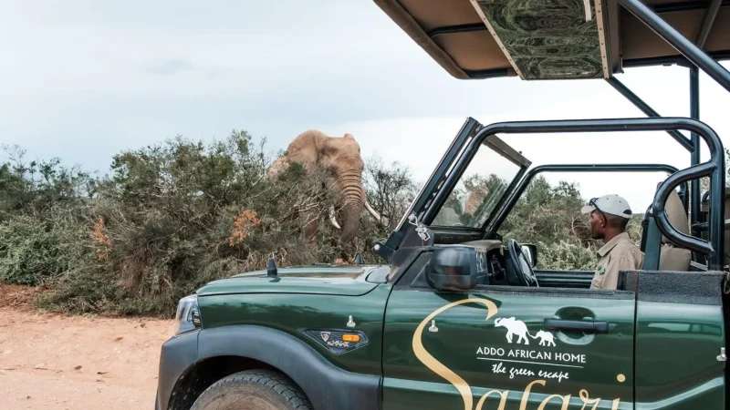 Sunrise_Safari_Routes_тАУ_Early_morning_activity_04