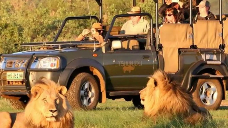 Sunrise_Safari_Routes_тАУ_Early_wildlife_activity_01