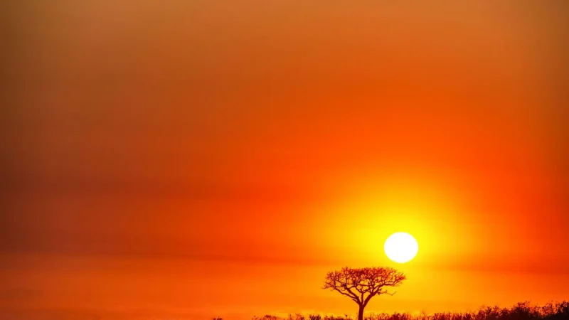 Sunrise_Safari_Spots_тАУ_Early_morning_game_viewing_06