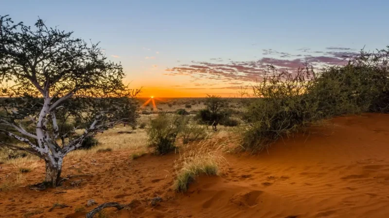 Sunrise_Viewing_Areas_тАУ_Early_light_over_dunes_03