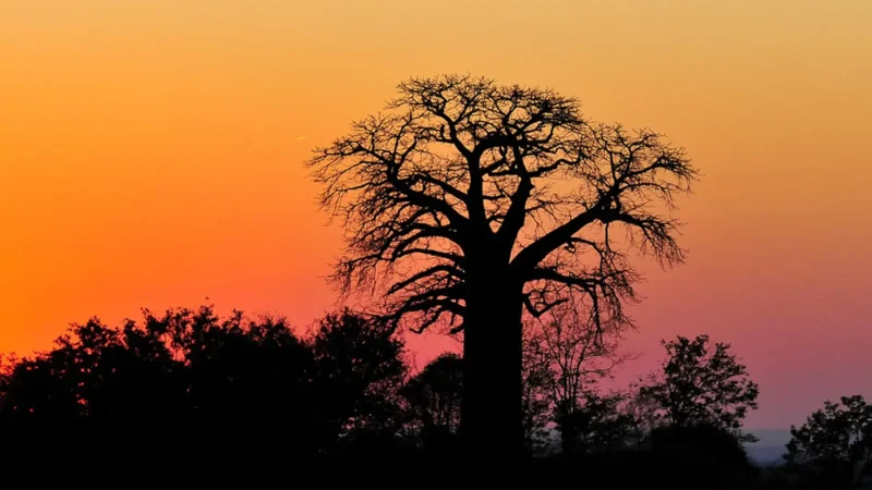 Sunrise_and_Sunset_Points_тАУ_Safari_photography_04