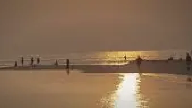 Sunset Bea(1)