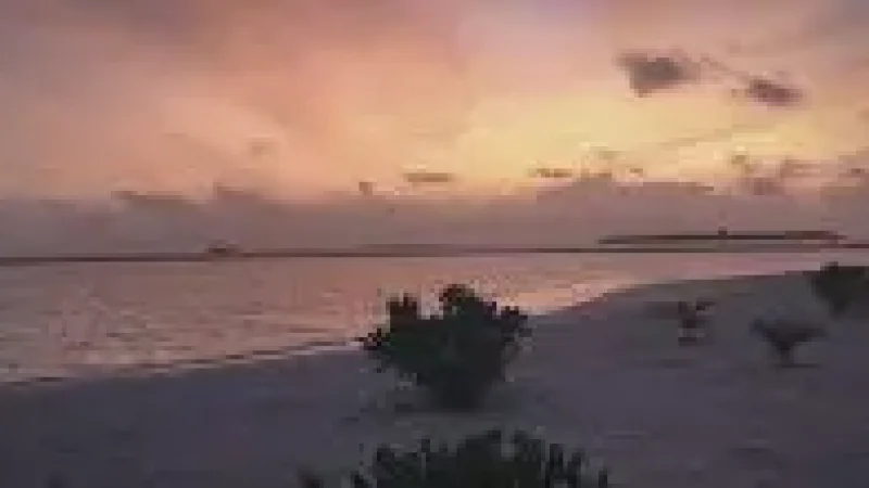 Sunset Bea(6)