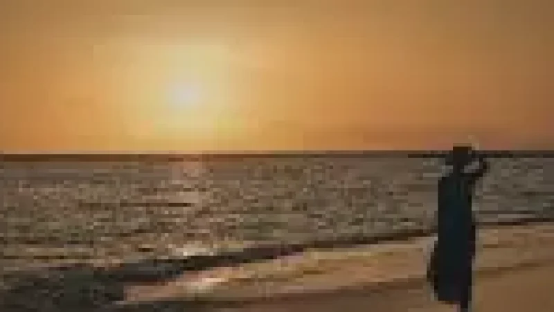 Sunset Bea(6)
