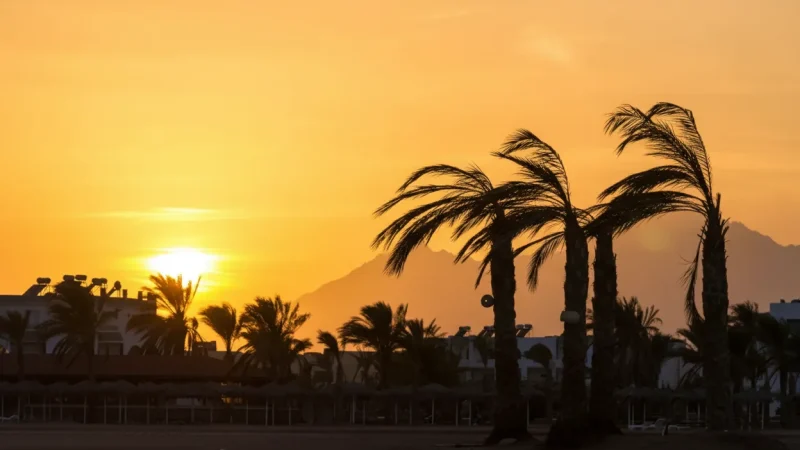 Sunset Beach Spots – Evening Sea Views(3)