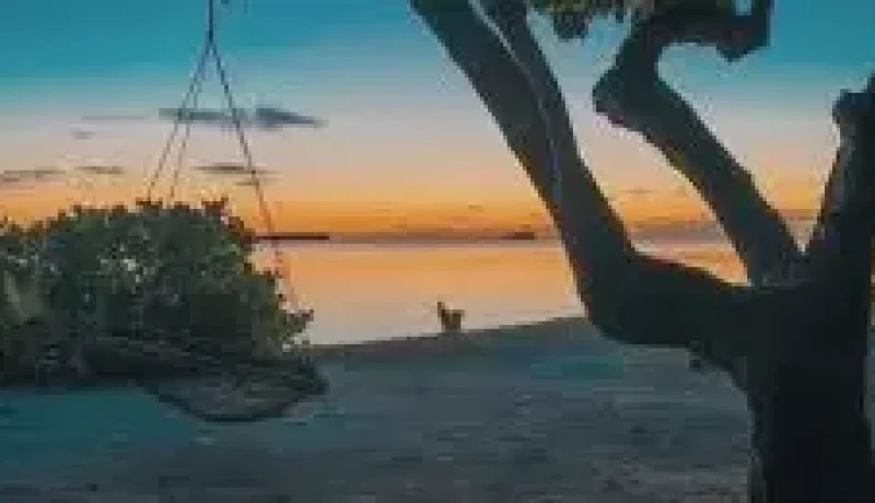Sunset Beach – A peaceful evening(3)