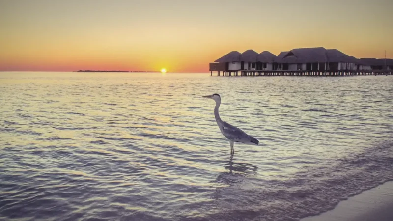 Sunset Beach – A quiet location for evening colors(4)