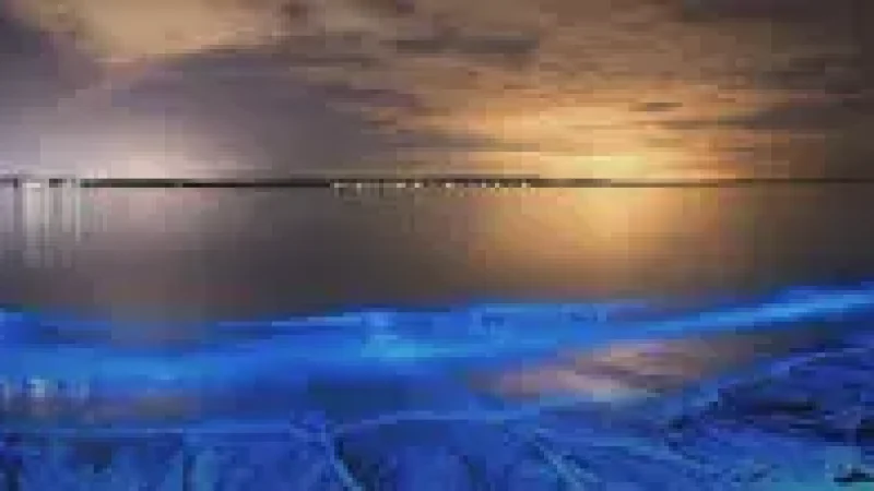 Sunset Beach – A scenic evening(1)