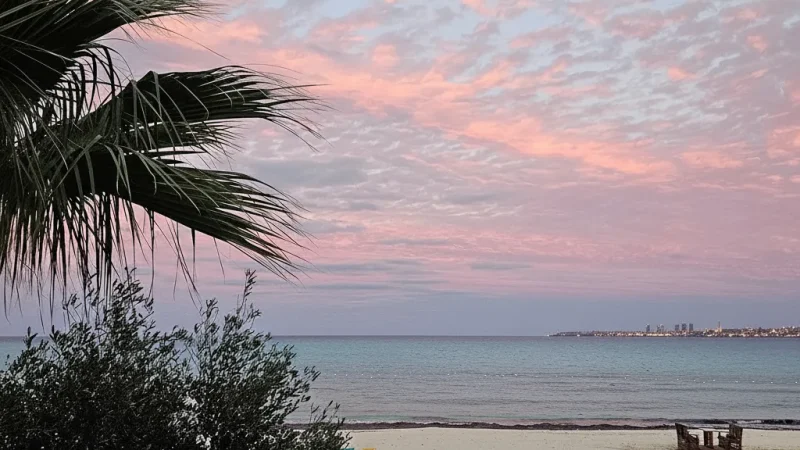 Sunset Coastal Views – Evening sea colors(4)