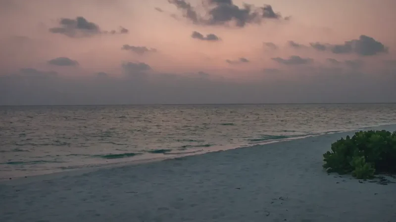Sunset Coastline – soft light ocean views(2)