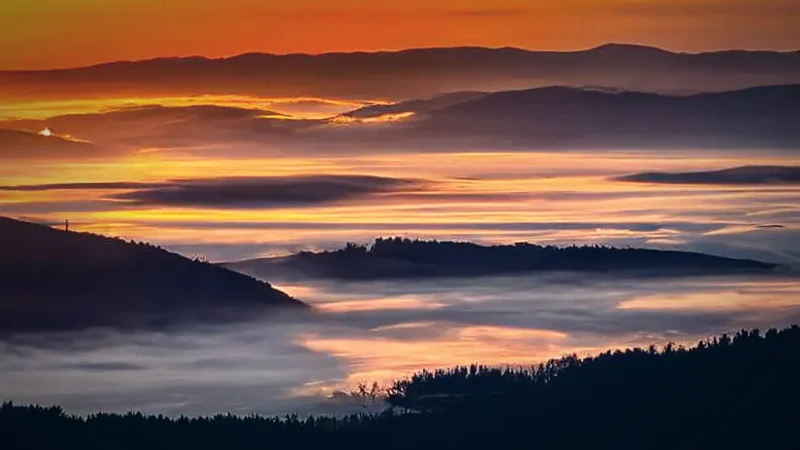 Sunset Meadow View(1)