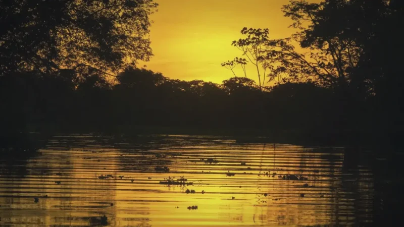Sunset River Decks – Evening landscapes(11)