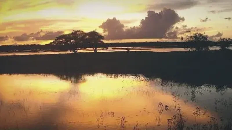 Sunset River Viewpoints – Evening scenery(6)