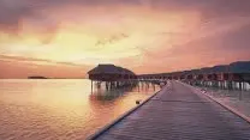 Sunset Viewpoint – Peaceful evening(5)