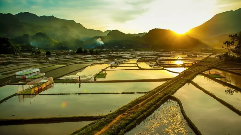 Sunset Viewpoints Across Rice Fields – Evening light(2)