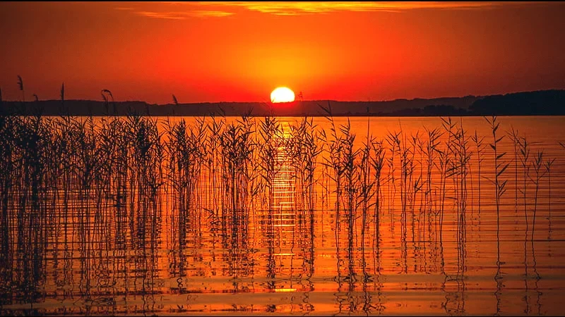 Sunset Viewpoints by the River(5)