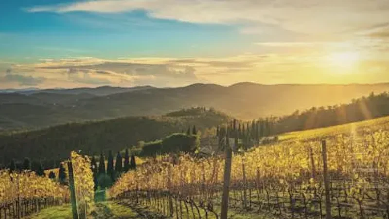 Sunset Viewpoints – Evening scenery(10)