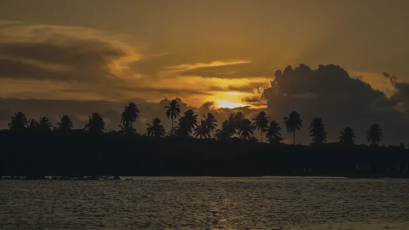 Sunset Viewpoints – Evening scenic spots(1)
