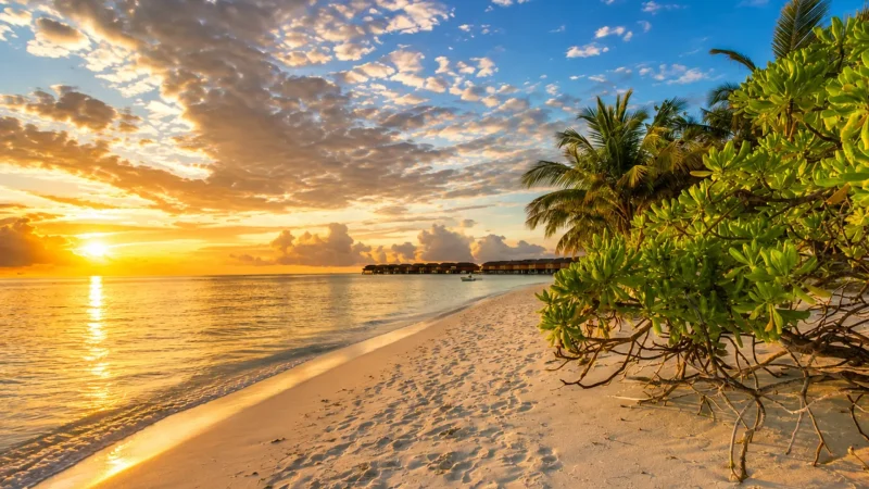 Sunset_Beach_–_A_peaceful_spot_for_evening_colors__01