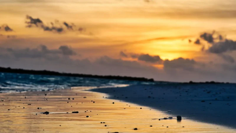 Sunset_Beach_–_Evening_relaxation_spot__03