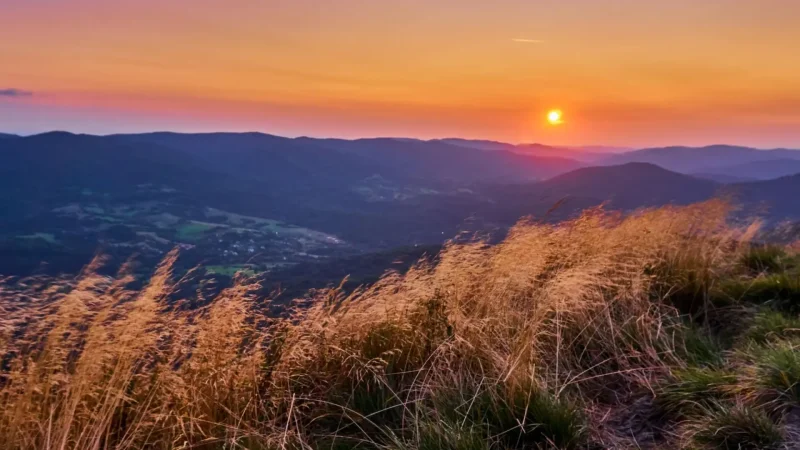 Sunset_Meadow_Views_03