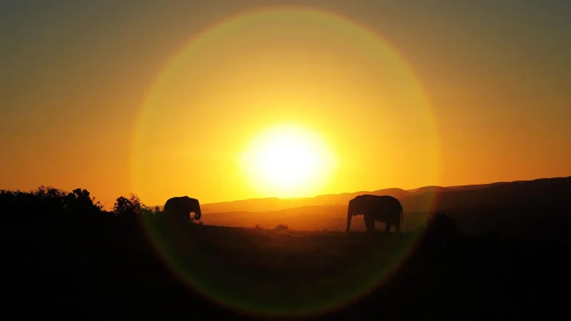 Sunset_Viewing_Points_тАУ_Evening_wildlife_views_03