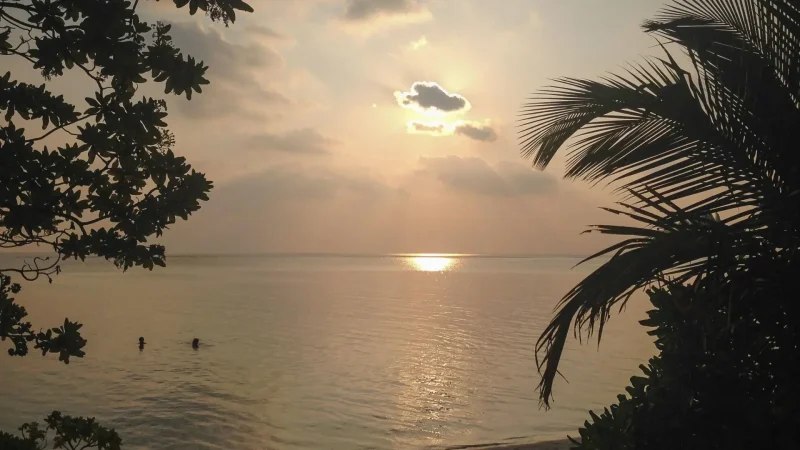 Sunset_Viewpoint_–_Evening_coastal_scenery__05