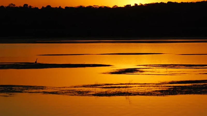 Sunset_Viewpoints_тАУ_Evening_scenery_02