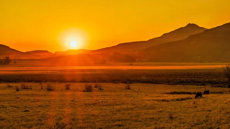 Sunset_Viewpoints_тАУ_Evening_scenery_05