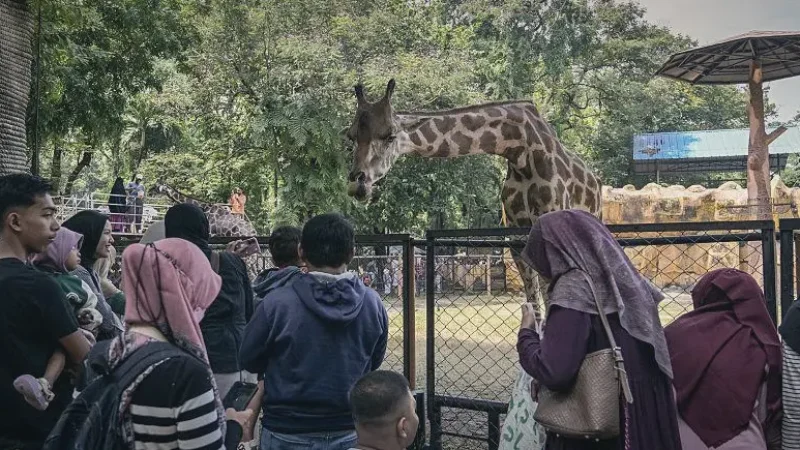 Surabaya Zoo(2)