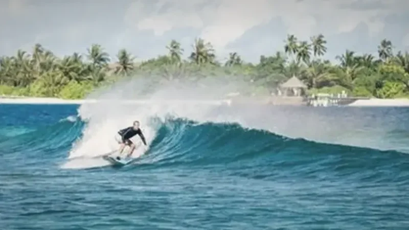 Surf Point(4)