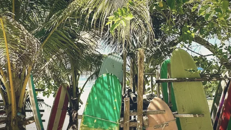 Surf Schools – Lessons and rentals(2)