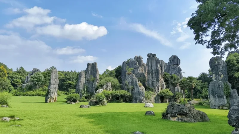 Surrounding Grasslands – Natural landscapes(5)