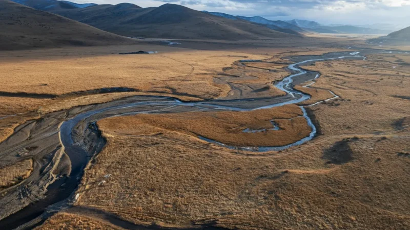 Surrounding Grasslands – Open areas(1)