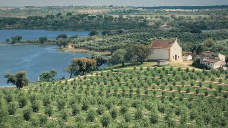 Surrounding Plains Views(7)