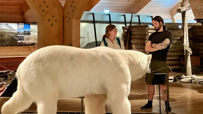 Svalbard Museum – Arctic History & Culture(5)