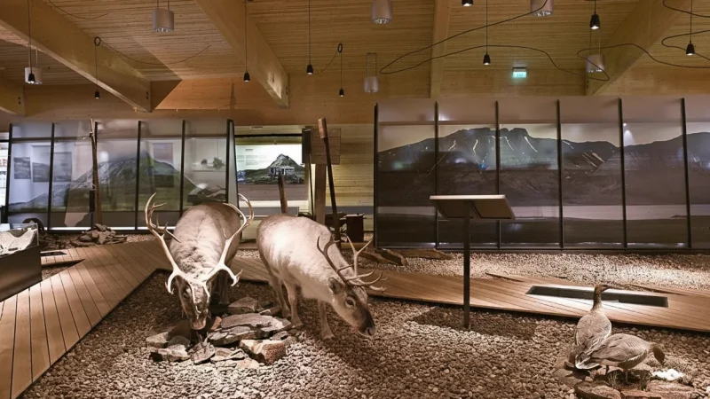 Svalbard Museum – Arctic history, wildlife, and exploration(6)