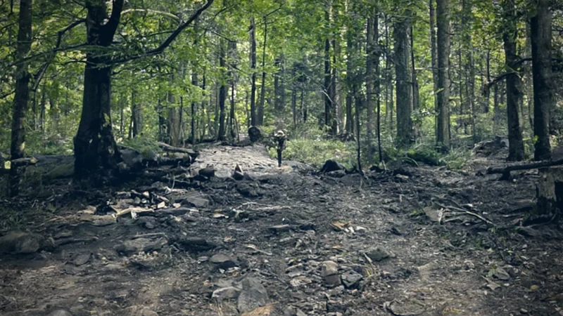 Świętokrzyski National Park(5)
