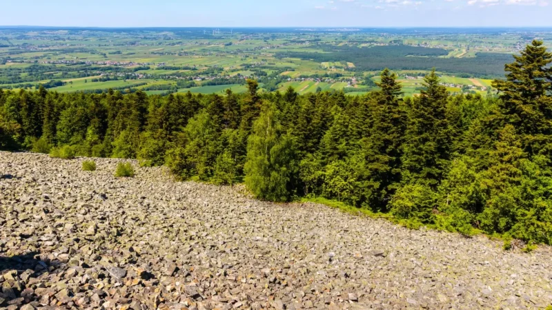 Świętokrzyski_National_Park_05