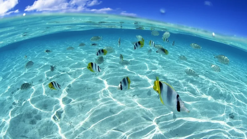 Swimming Lagoons – Calm Water Areas(5)