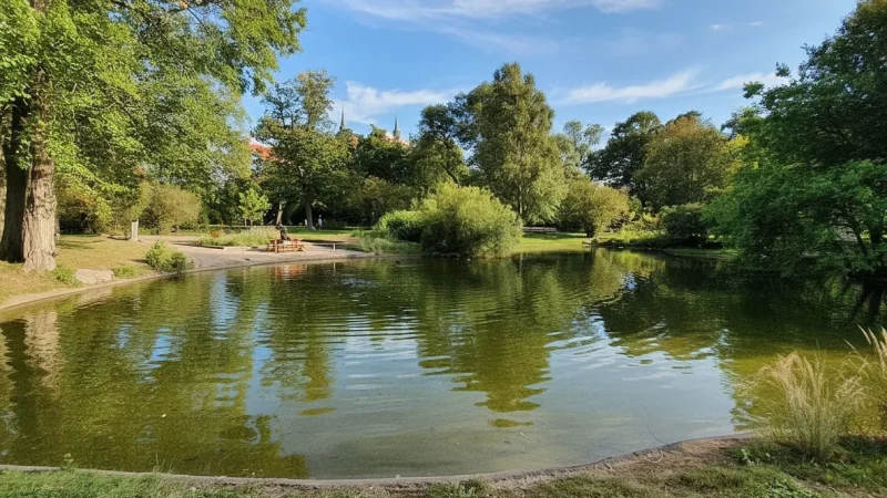 Swiss Garden – Public park near the palace(4)