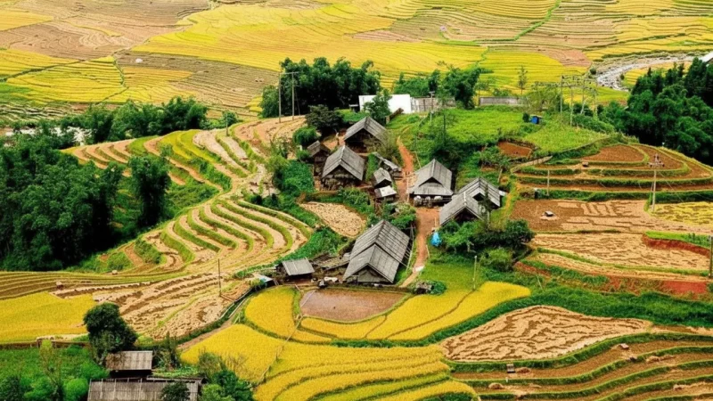 Ta Van Village – Peaceful Scenery & Homestays(2)