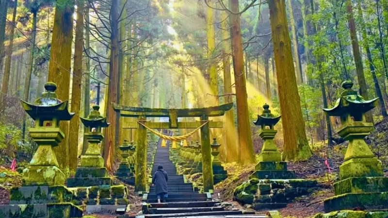 Takachiho Shrine(5)