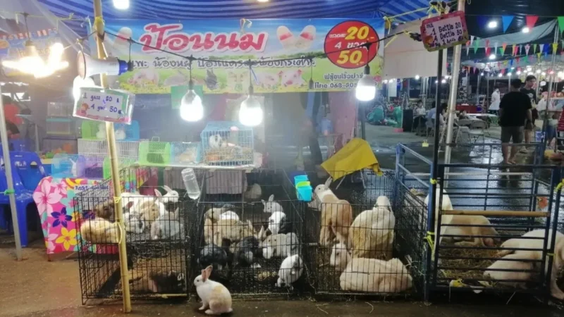 Talad_Neon_Night_Market_Travel_Guide(1)